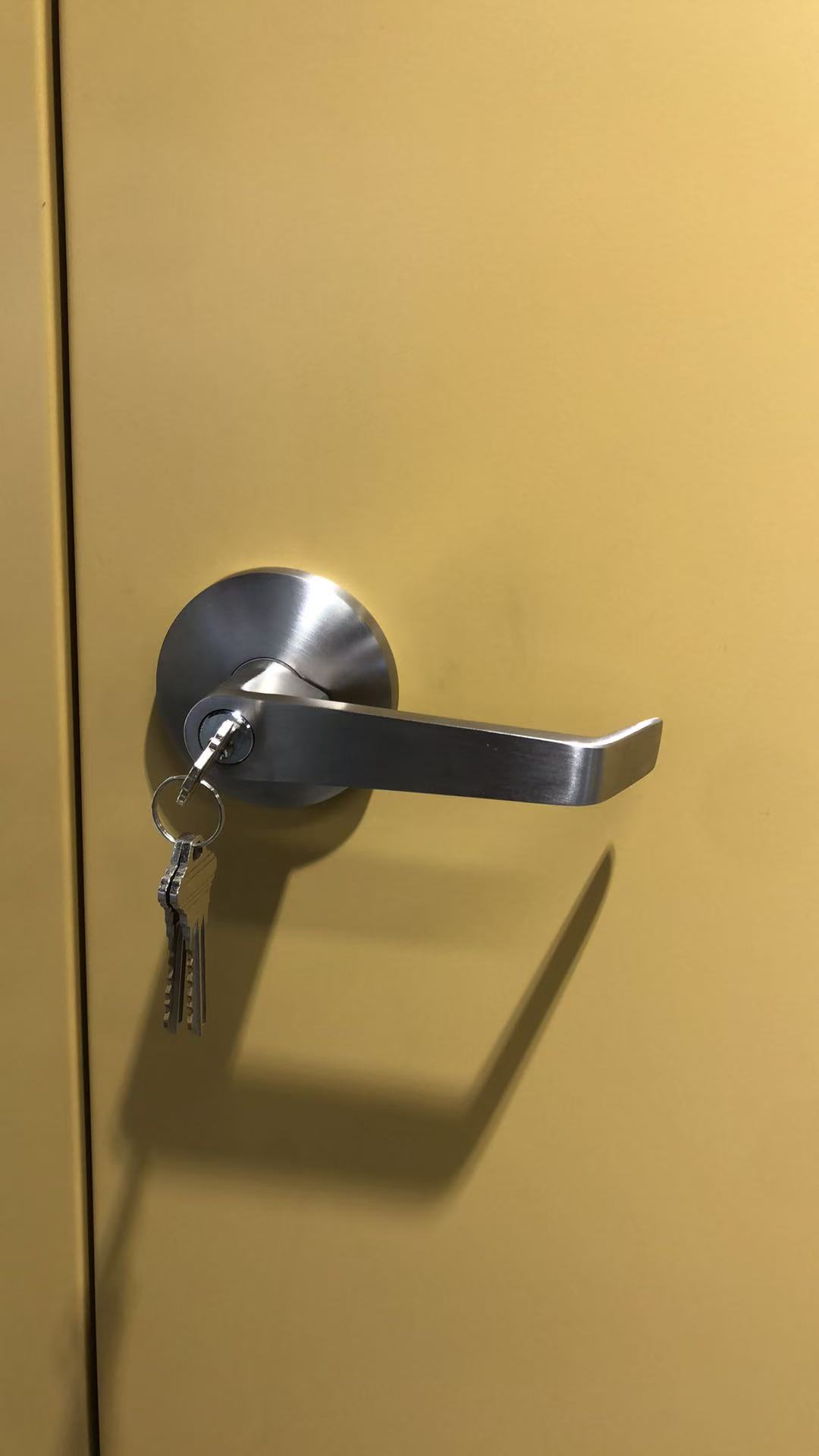 Brandveilige stalen nooduitgangdeur met paniekstang, 20-180 minuten brandwerend (WH) gecertificeerd voor appartementen, kantoren en commerciële gebouwen.