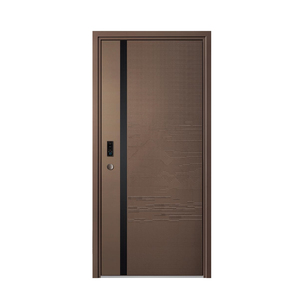 Inbraakwerende veiligheidsdeur met minimalistisch design