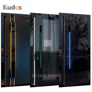 Moderne luxe zwarte glazen, verticaal geribbelde, gegoten aluminium buitendeur met draaifunctie en LED-verlichting.