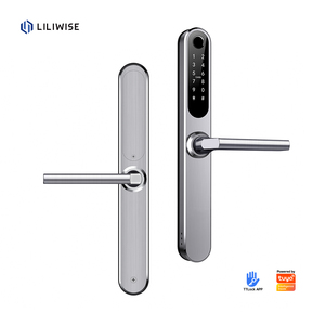 Liliwise Waterdicht IP66 Buitendeurslot Tuya APP TTLOCK BLE Wifi Slim Deurslot voor Smalle Aluminium Deuren en Houten Deuren